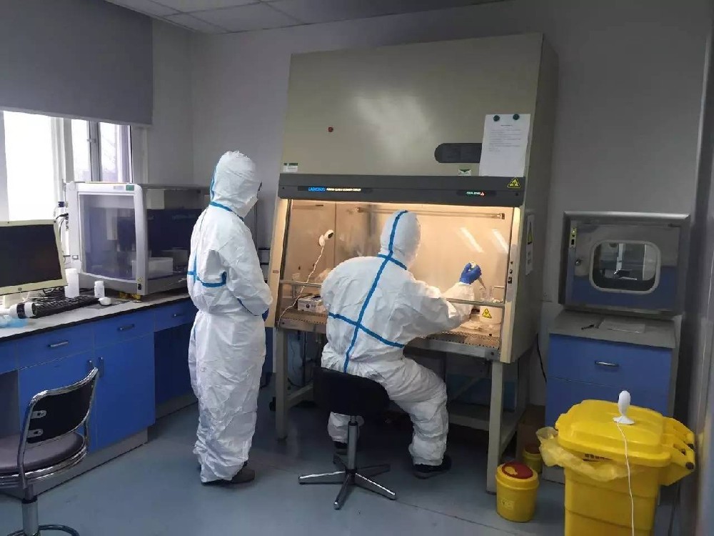 生物實驗室工藝布局要求