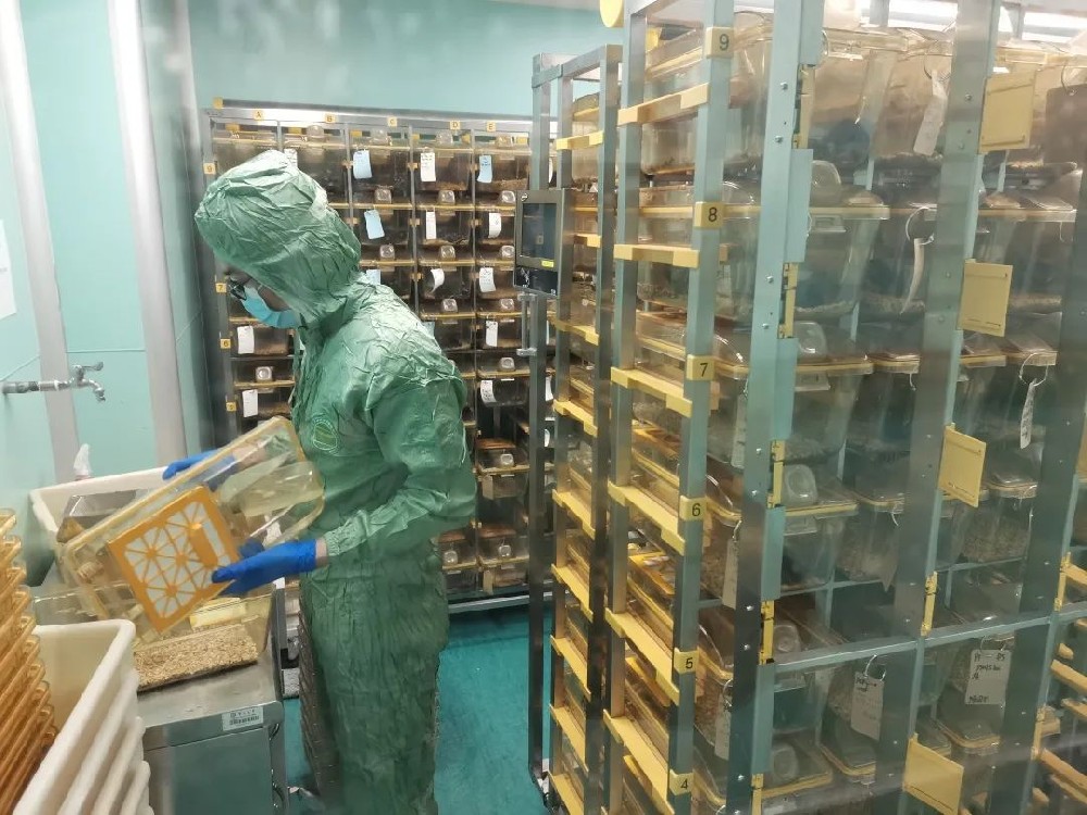 建設動物實驗室的注意要點